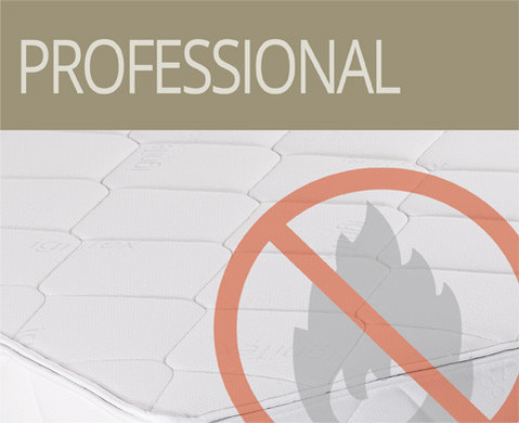 professional.jpg